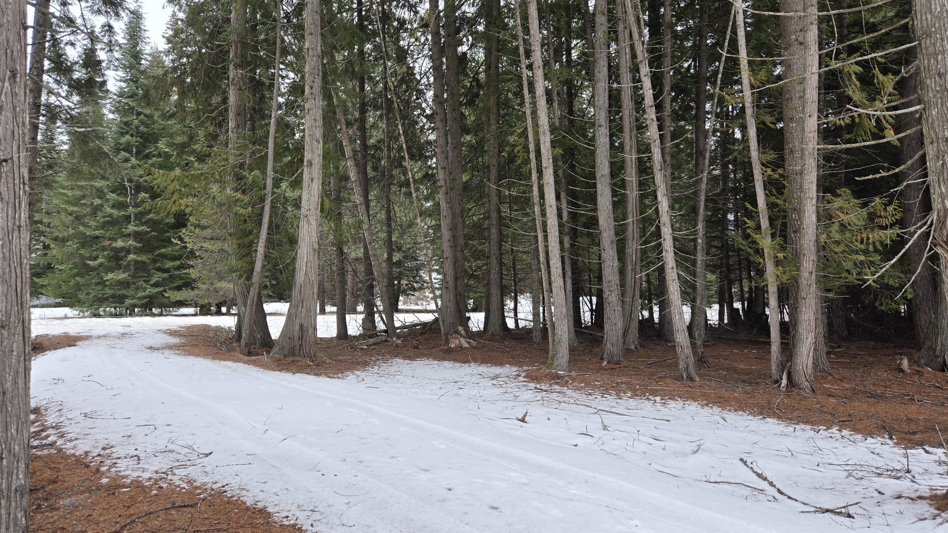 10401 LeClerc Road North Cusick, WA 99119 - Photo 7 of 21