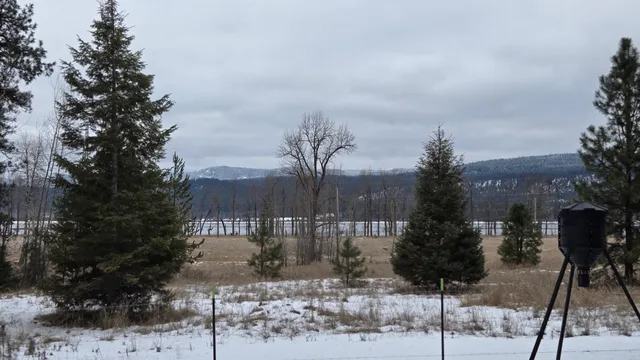 $60,000 | 10401 LeClerc Road North, Cusick, WA 99119