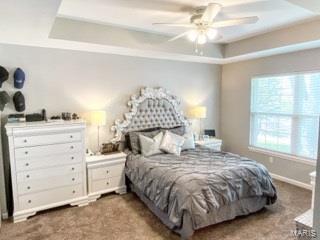 204 East 3rd Street O'Fallon, IL 62269 - Photo 14 of 28 Gallery Image 14
