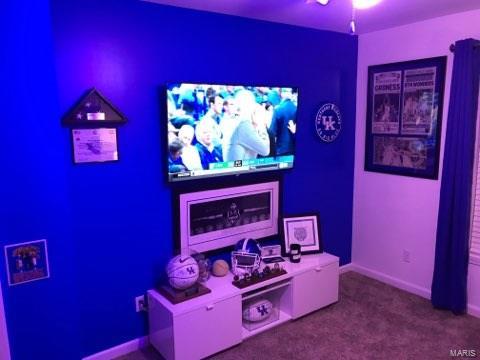 204 East 3rd Street O'Fallon, IL 62269 - Photo 20 of 28 Gallery Image 20