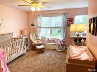 204 East 3rd Street O'Fallon, IL 62269 - Photo 21 of 28 Gallery Image 21