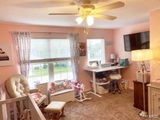 204 East 3rd Street O'Fallon, IL 62269 - Photo 22 of 28 Gallery Image 22
