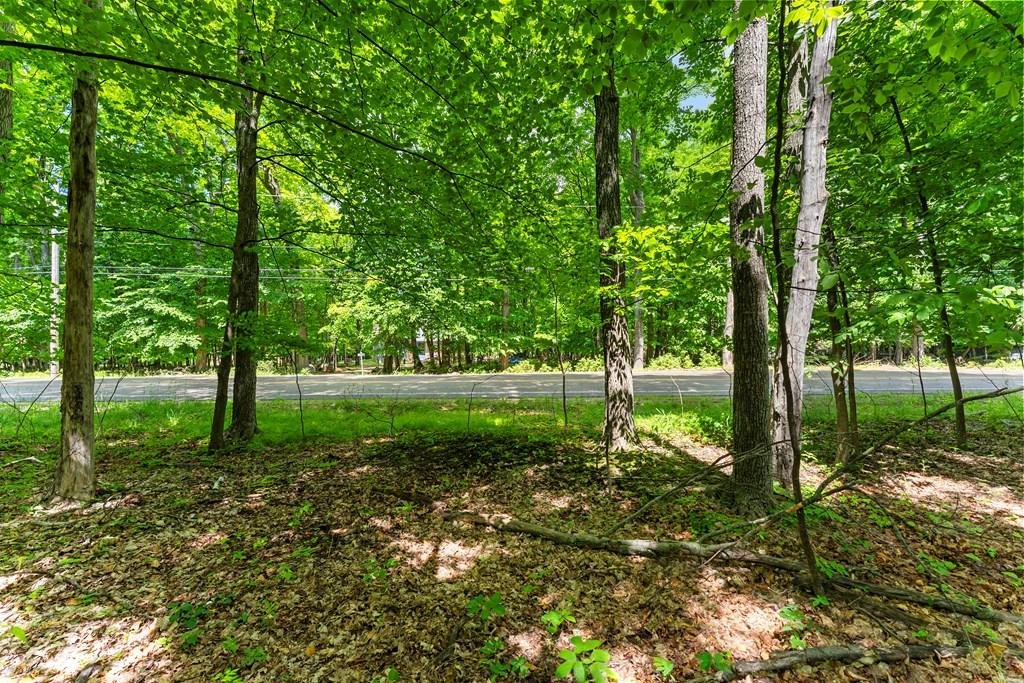 Lot #1 Horseshoe Bay Road Egg Harbor, WI 54209 - Photo 8 of 24