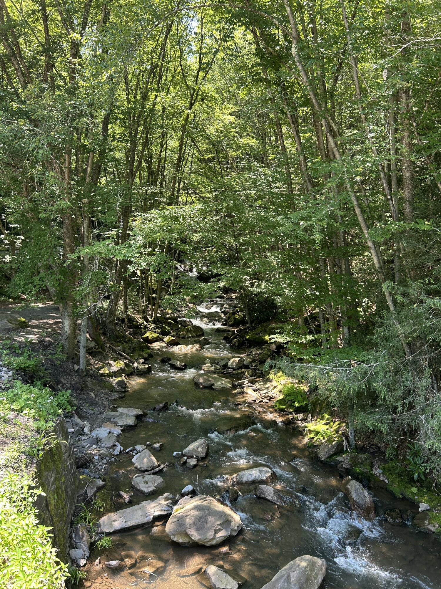 70 Indian Run Road Weatherly, PA 18255 - Photo 6 of 18 IMG_4082