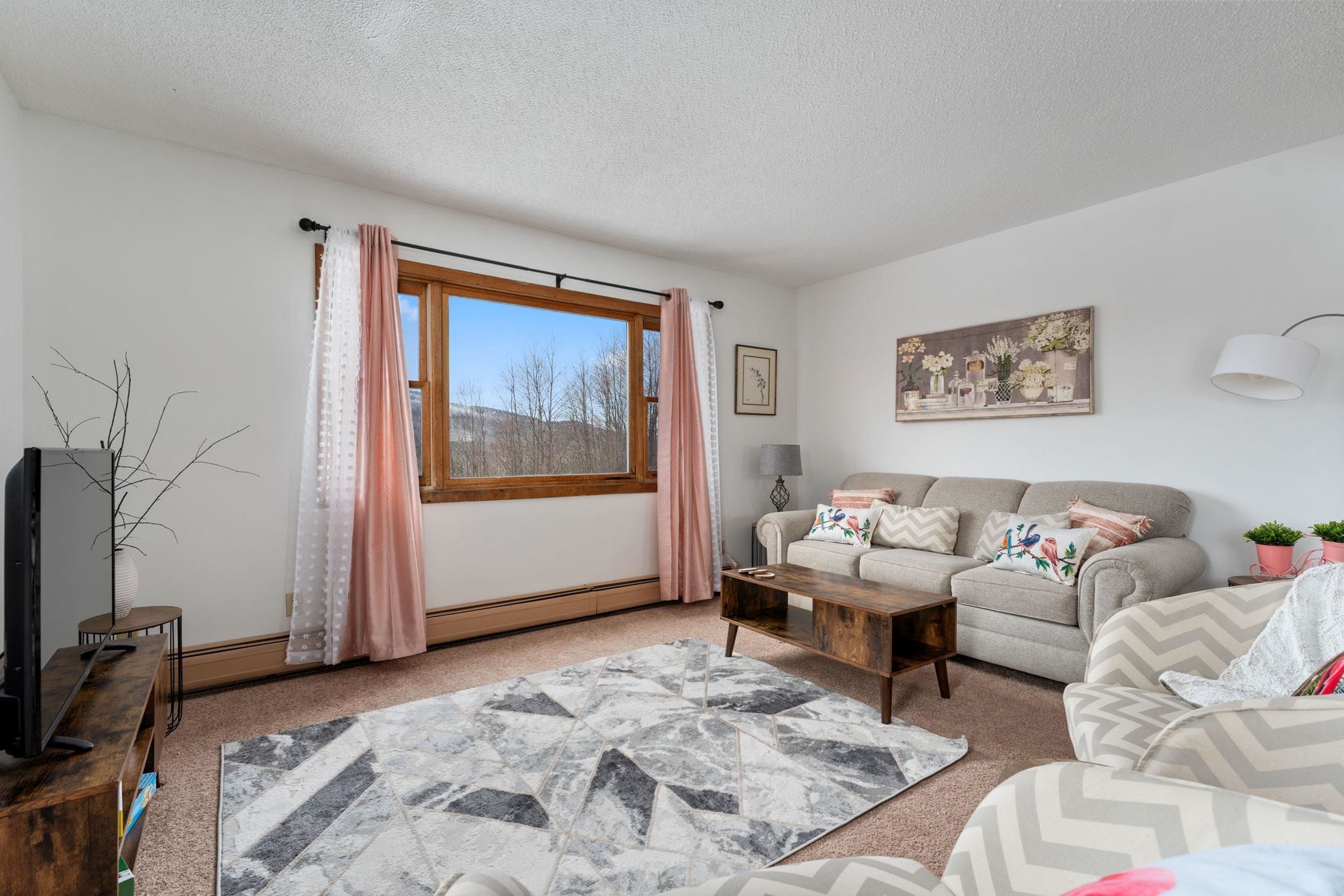 2766 East Elmore Road Wolcott, VT 05680 - Photo 24 of 59