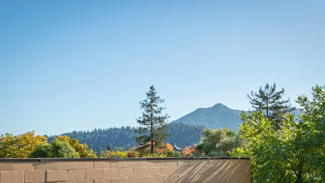 a view of a house with a yard and a large tree