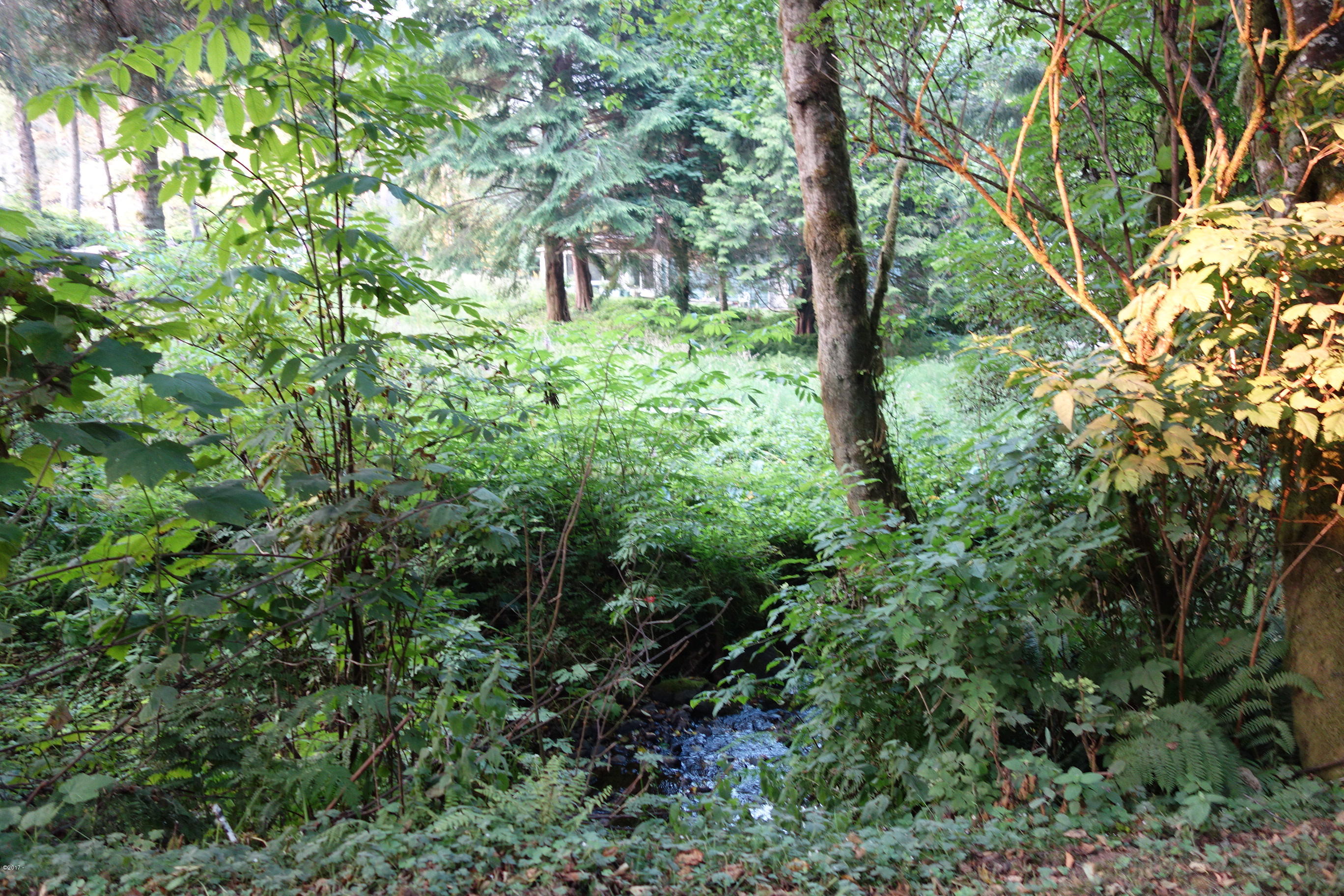 3501 South Beach Road Neskowin, OR 97149 - Photo 13 of 25 Tree Lined