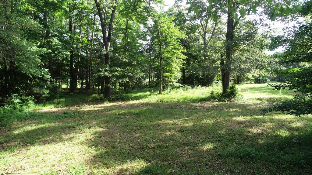 N/a Bobtown Road Melfa, VA 23410 - Photo 2 of 7