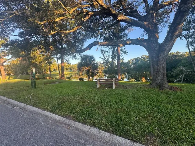 a view of yard with tree s