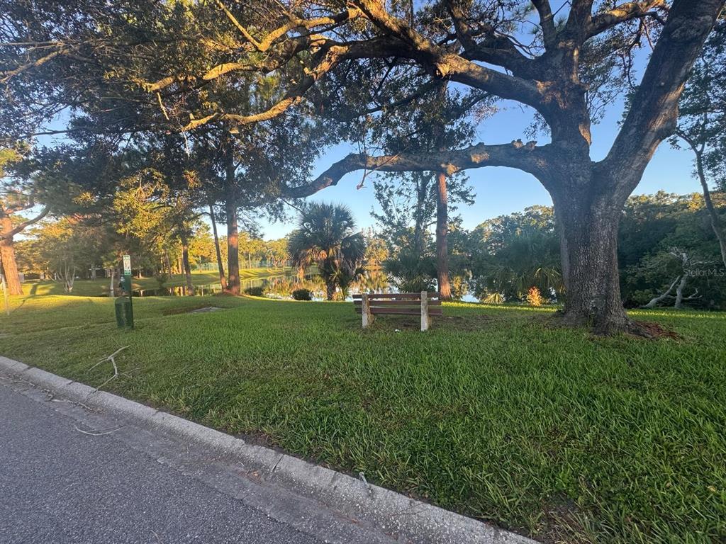 1613 Winter Green Boulevard Winter Park, FL 32792 - Photo 21 of 22 a view of yard with tree s