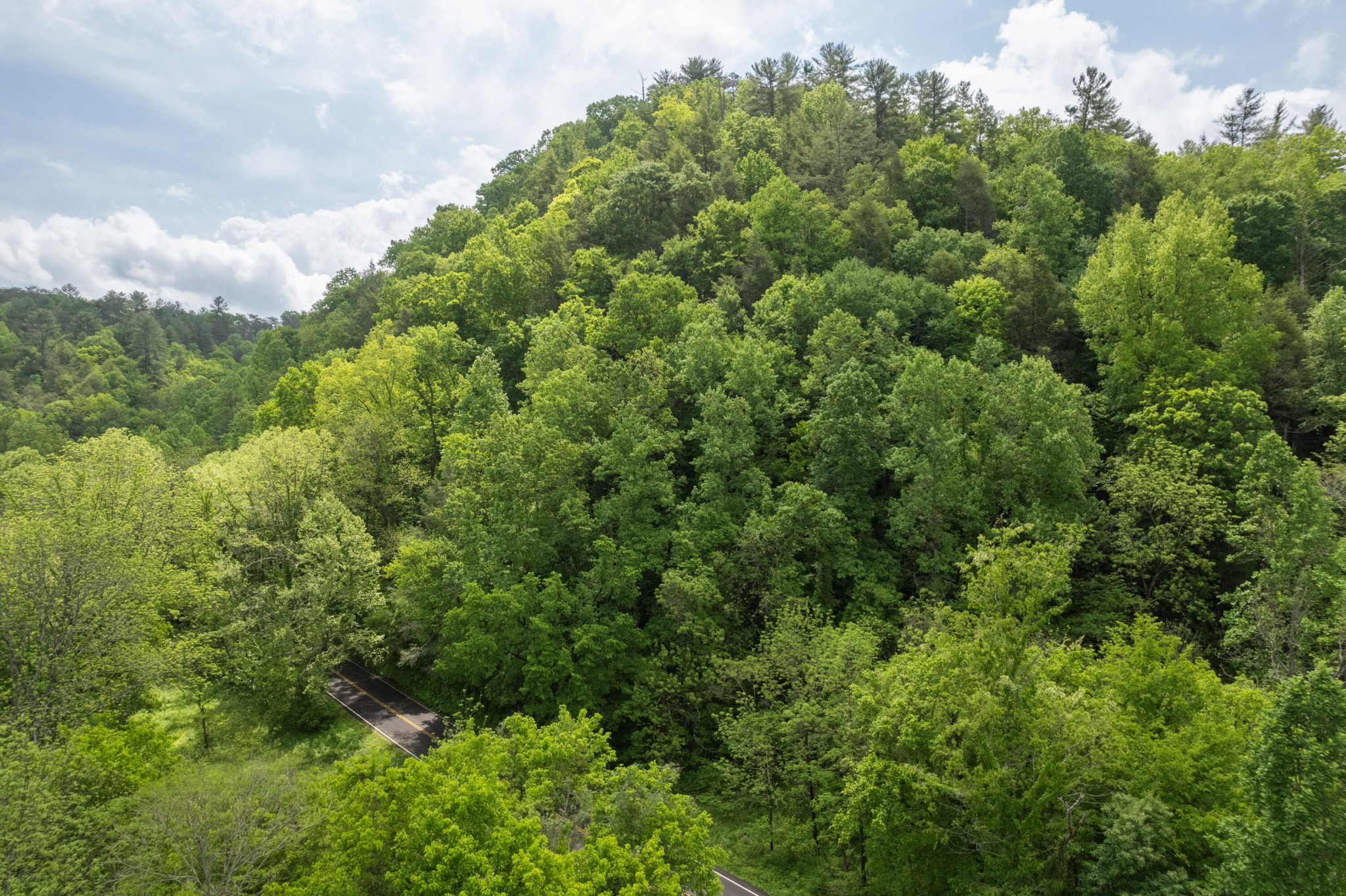 482 Pearl Valley Road Sevierville, TN 37876 - Photo 12 of 13 Gallery Image 12