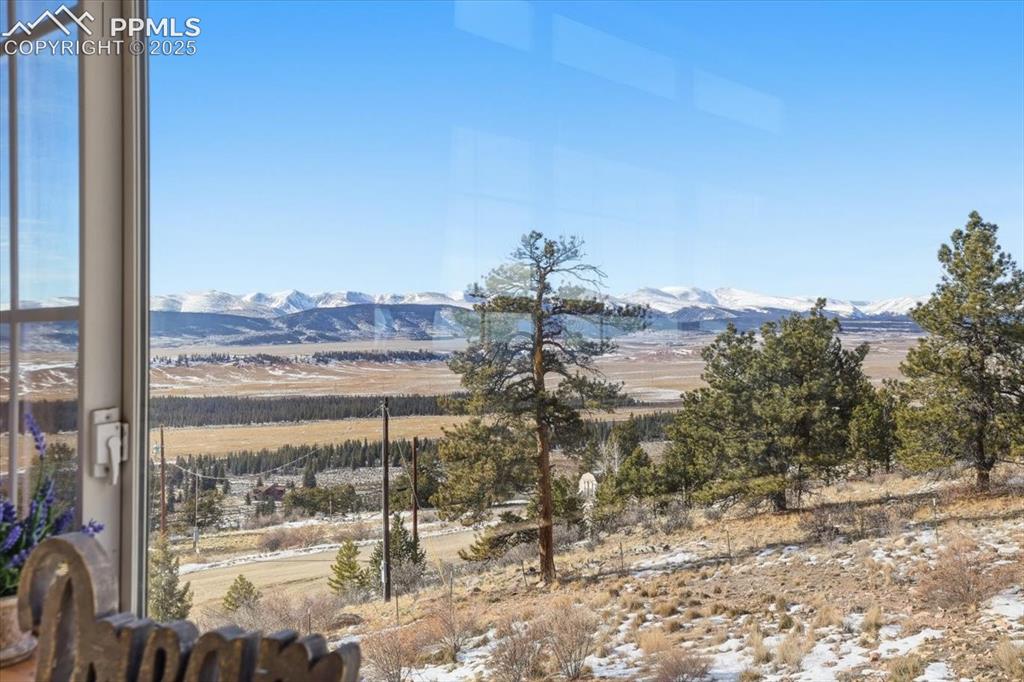 204 Crooked Creek Road Fairplay, CO 80440 - Photo 28 of 50