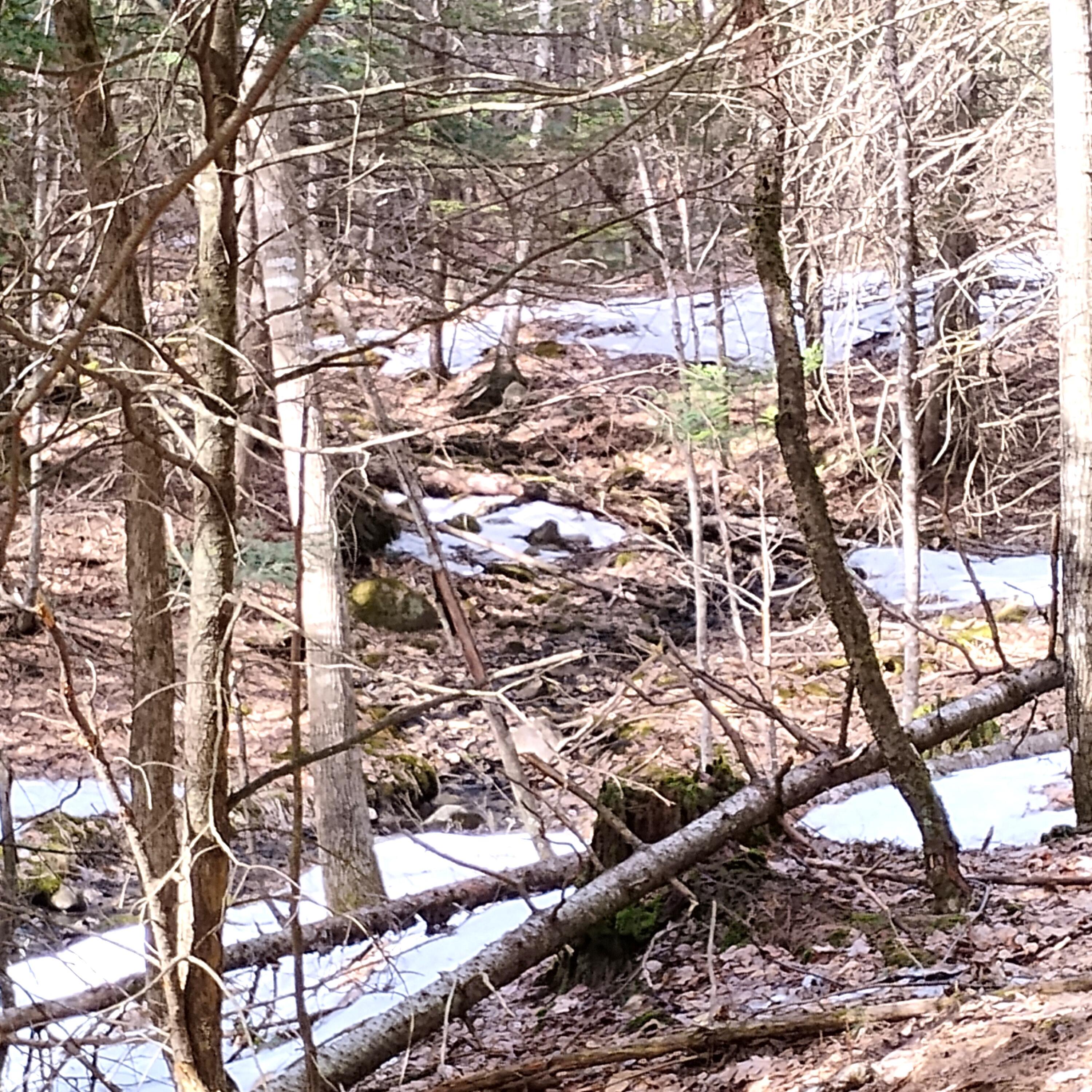 Lot 2 Father Rasle Road Norridgewock, ME 04957 - Photo 8 of 8 Pic