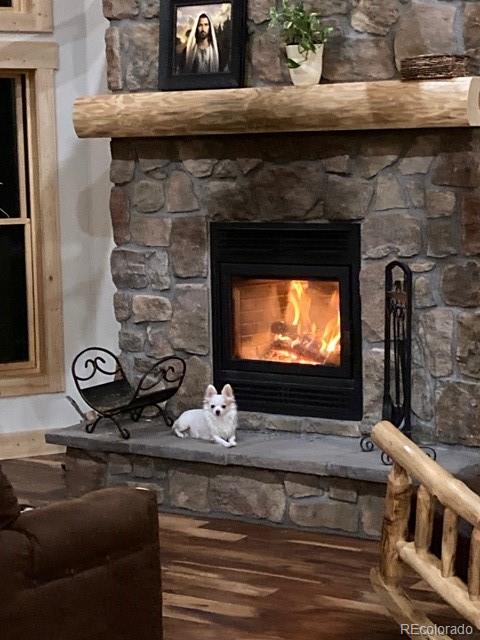 702 Bellows Road Hartsel, CO 80449 - Photo 17 of 49 Gallery Image 17