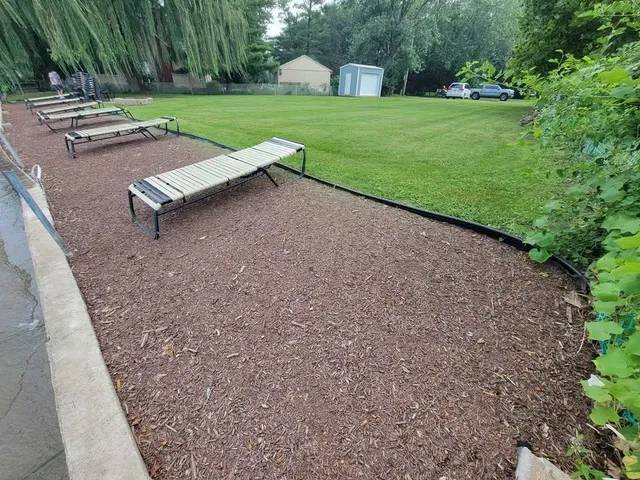 a view of a park with large trees