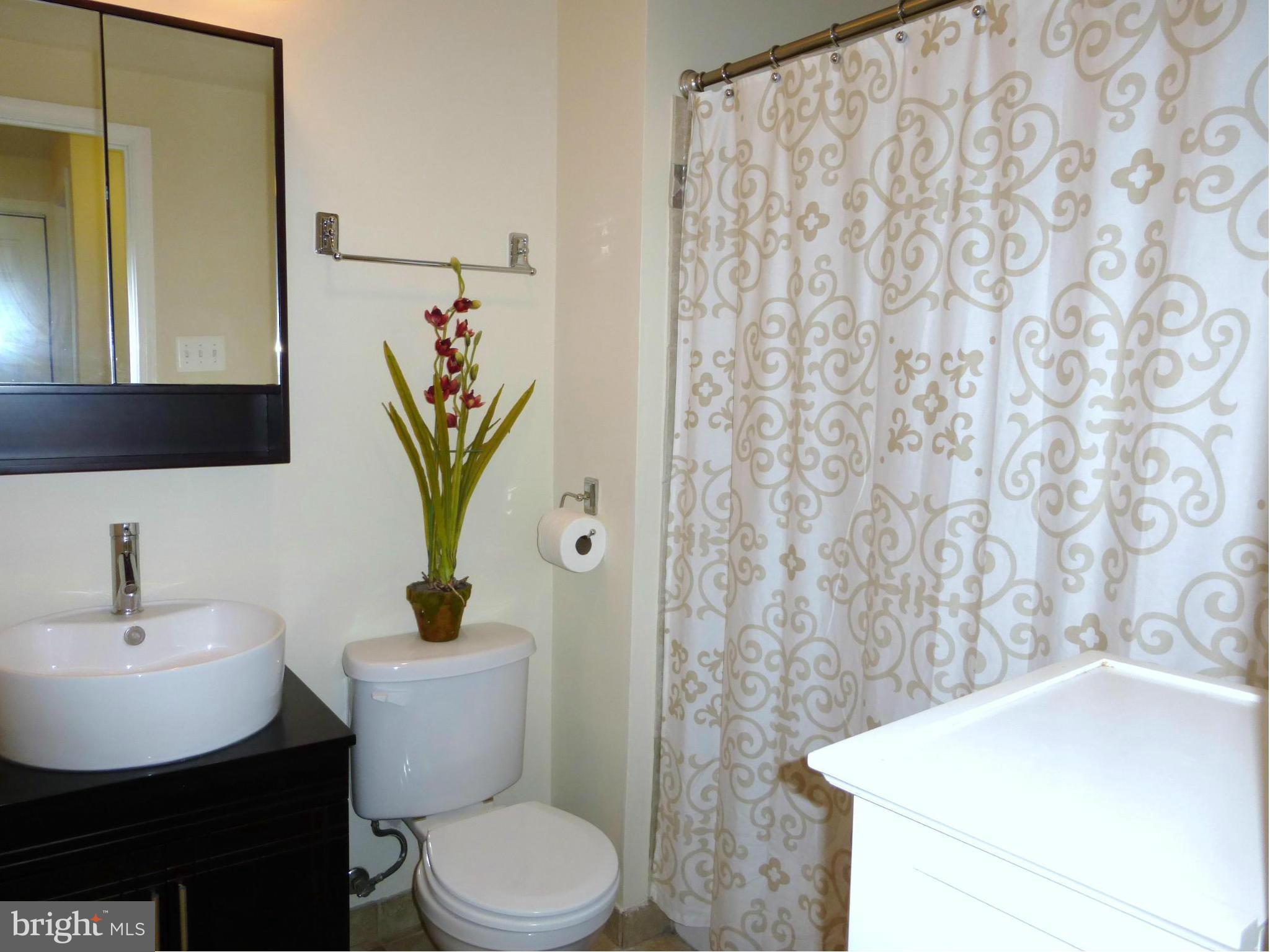 150 North Cottage Road Sterling, VA 20164 - Photo 19 of 22 Hall Bathroom
