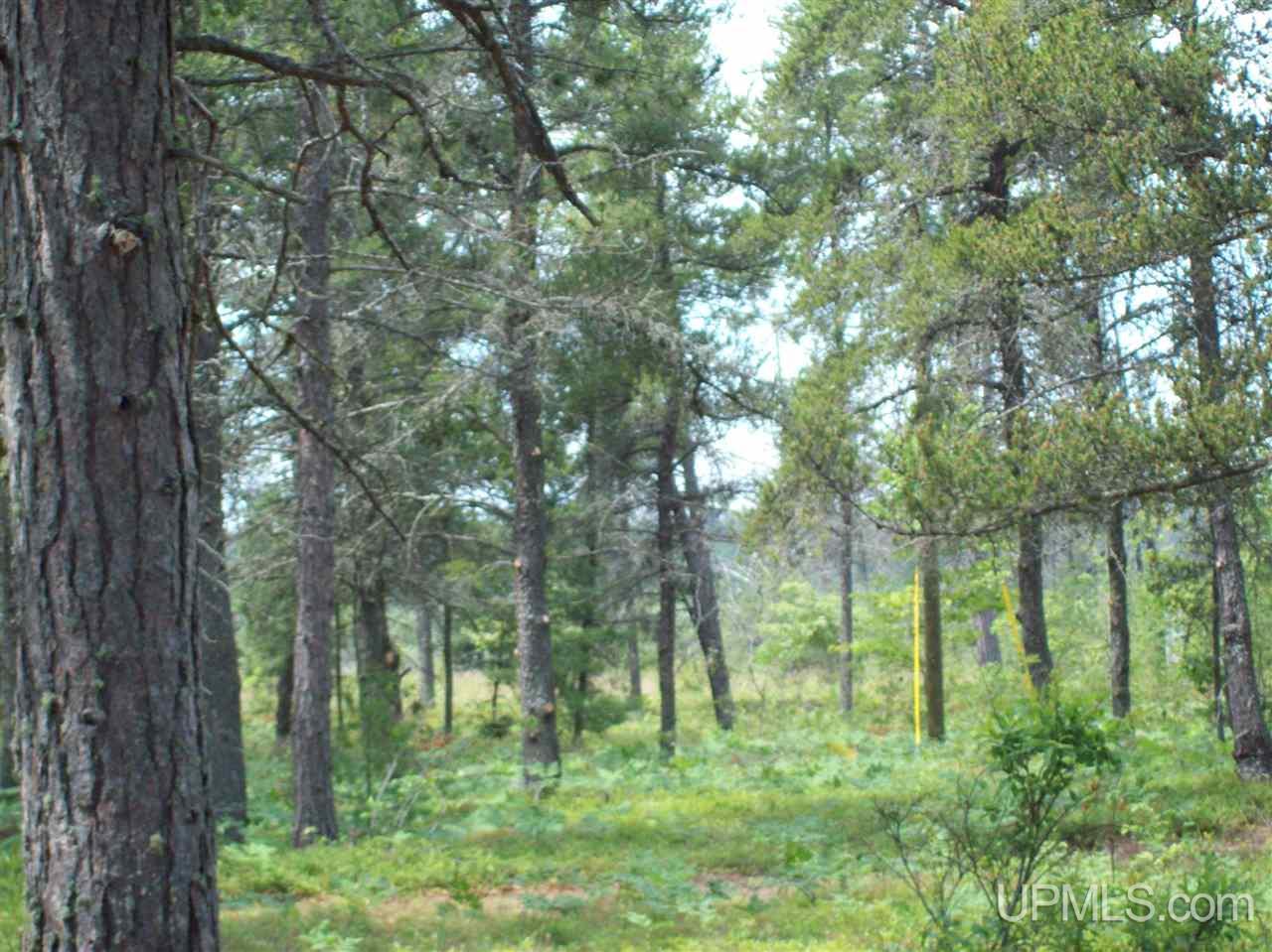 Tbd South Big Traverse Road, Unit PARCEL 37A Lake Linden, MI 49945 - Photo 4 of 11