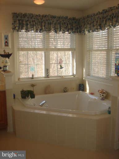 903 Longbow Road Mount Airy, MD 21771 - Photo 17 of 25 Bath (Master)