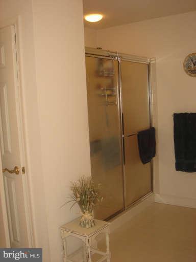 903 Longbow Road Mount Airy, MD 21771 - Photo 19 of 25 Bath (Master)