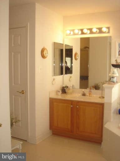 903 Longbow Road Mount Airy, MD 21771 - Photo 20 of 25 Bath (Master)