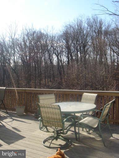903 Longbow Road Mount Airy, MD 21771 - Photo 24 of 25 Exterior (Rear)