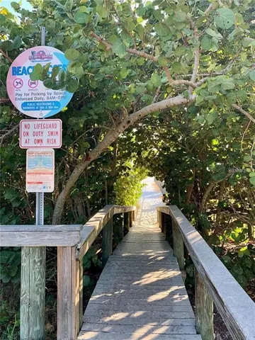 a view of a lake in middle of the forest