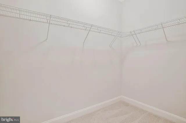 a bathroom with a shower sink vanity and mirror