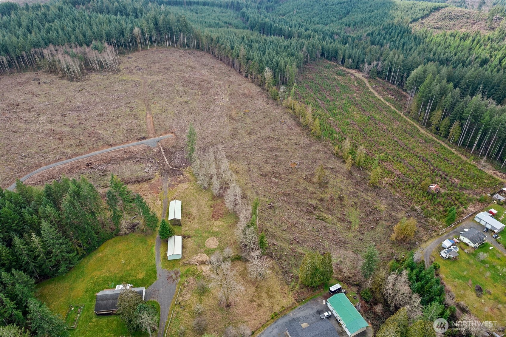 0 Little Hanaford Road, Unit B Centralia, WA 98531 - Photo 6 of 16 a view of a yard with plants