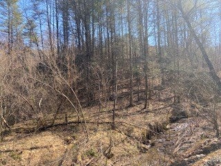 Tbd Lincoln Road, Unit 3 Galax, VA 24333 - Photo 26 of 64 Gallery Image 26