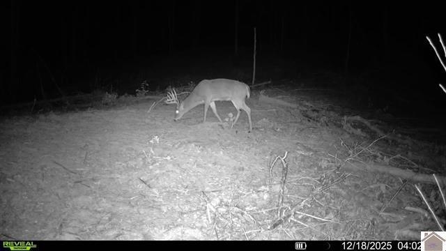 0 Highland Road Murray, KY 42071 - Photo 16 of 23 136772-567952fd-1f20-4fb7-a3dc-36b34b6b2