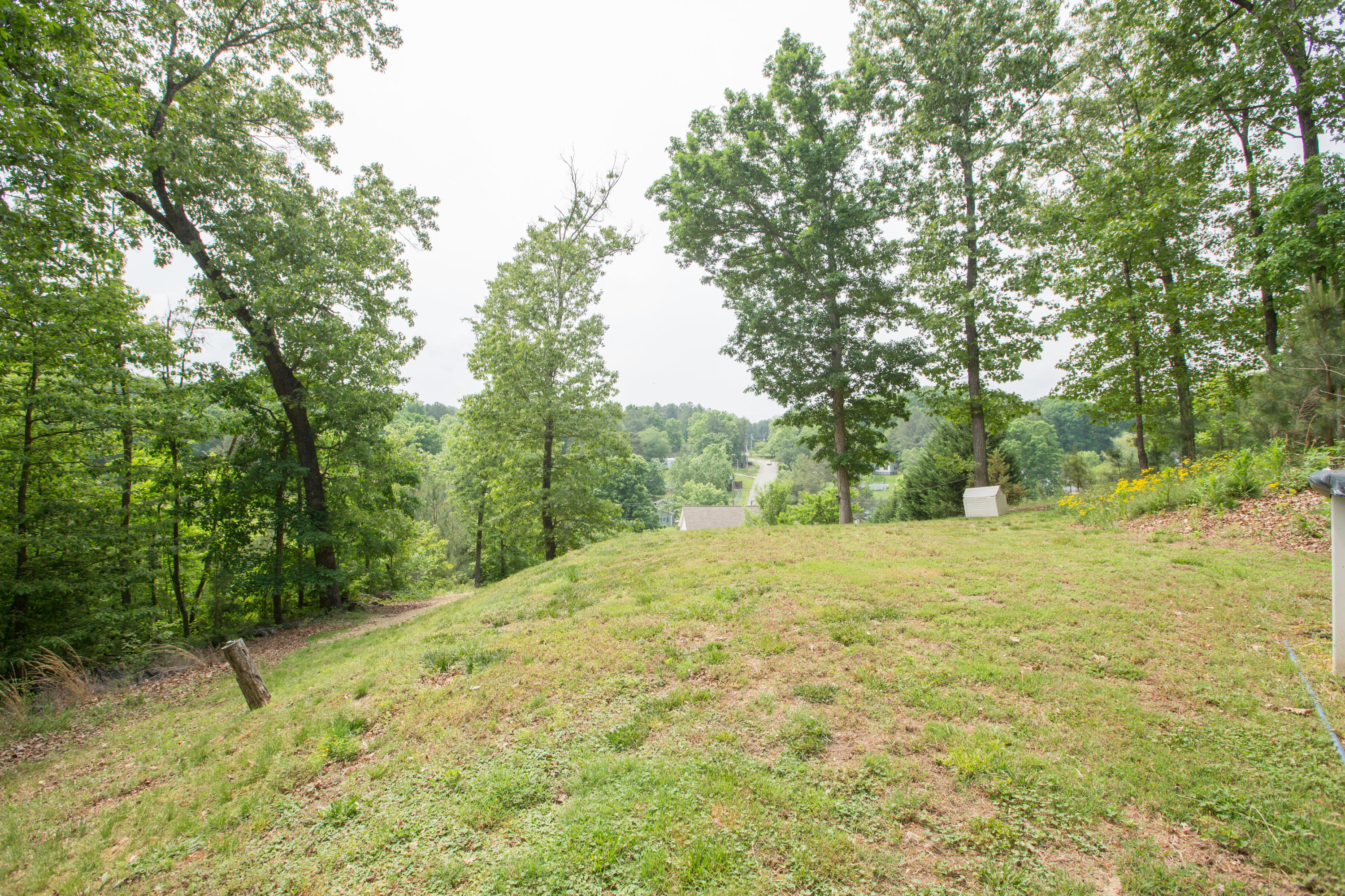 299 Bowman Road Ringgold, GA 30736 - Photo 22 of 28 299 Bowman Rd-4581
