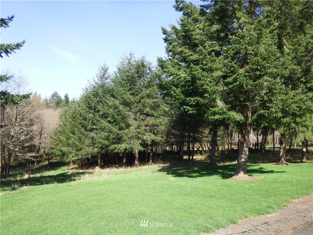 1255 Stella Road Longview, WA 98632 - Photo 1 of 16