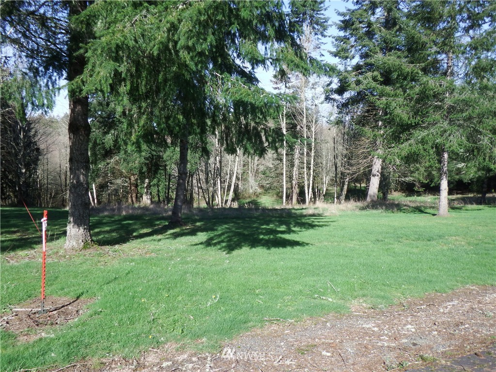 1255 Stella Road Longview, WA 98632 - Photo 3 of 16