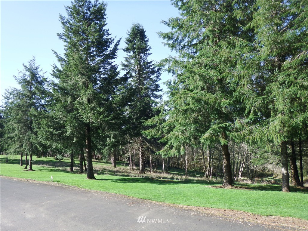 1255 Stella Road Longview, WA 98632 - Photo 10 of 16