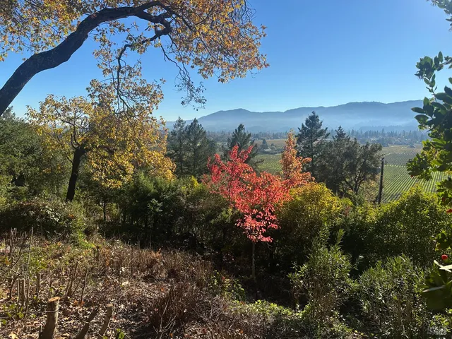 $10,000 | 121 Knoll Place, St. Helena, CA 94574