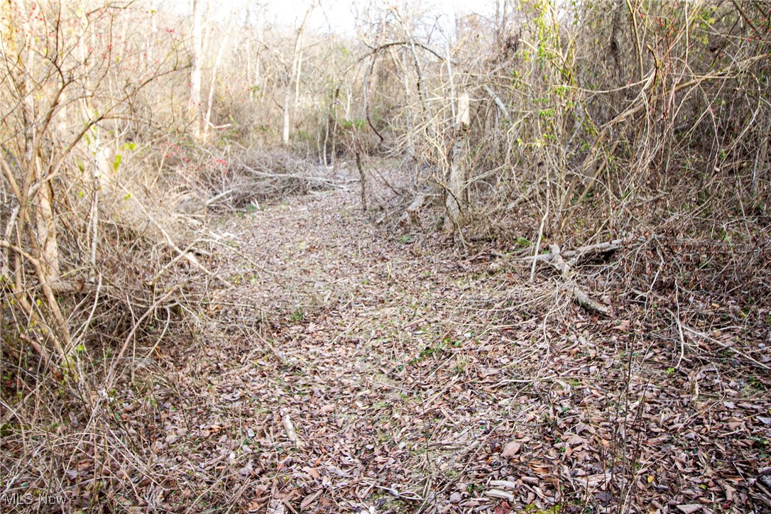 2 Whiskey Run Road Quaker City, OH 43773 - Photo 19 of 39 View of landscape