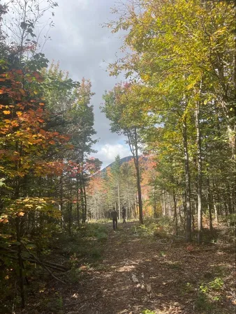 $124,900 | Lot 9 East Moose Alley Road, Temple, ME 04984