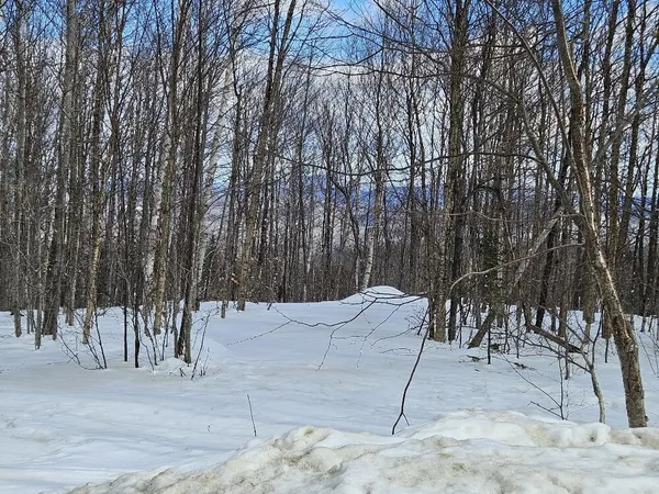 $124,900 | Lot 9 East Moose Alley Road, Temple, ME 04984