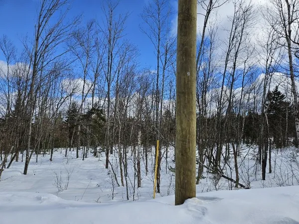 $124,900 | Lot 9 East Moose Alley Road, Temple, ME 04984