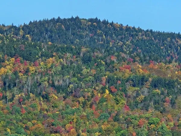 $124,900 | Lot 9 East Moose Alley Road, Temple, ME 04984