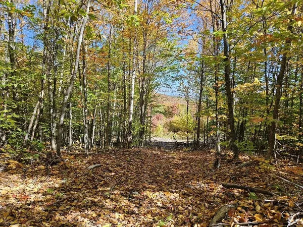 $124,900 | Lot 9 East Moose Alley Road, Temple, ME 04984