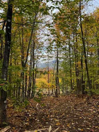 $124,900 | Lot 9 East Moose Alley Road, Temple, ME 04984