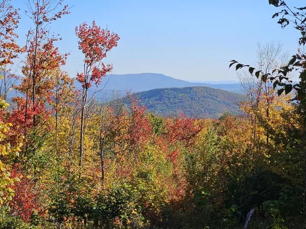 $124,900 | Lot 9 East Moose Alley Road, Temple, ME 04984