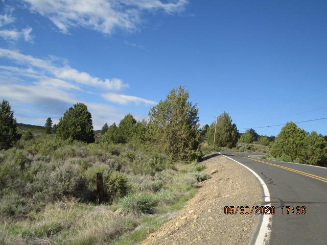Lot 4 Drews Ranch Road Sprague River, OR 97639 - Photo 2 of 4 a view of a dry yard with trees