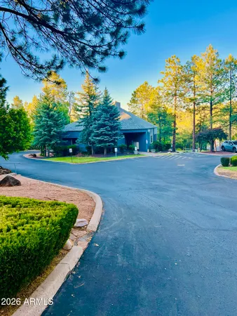 a view of a park with large trees