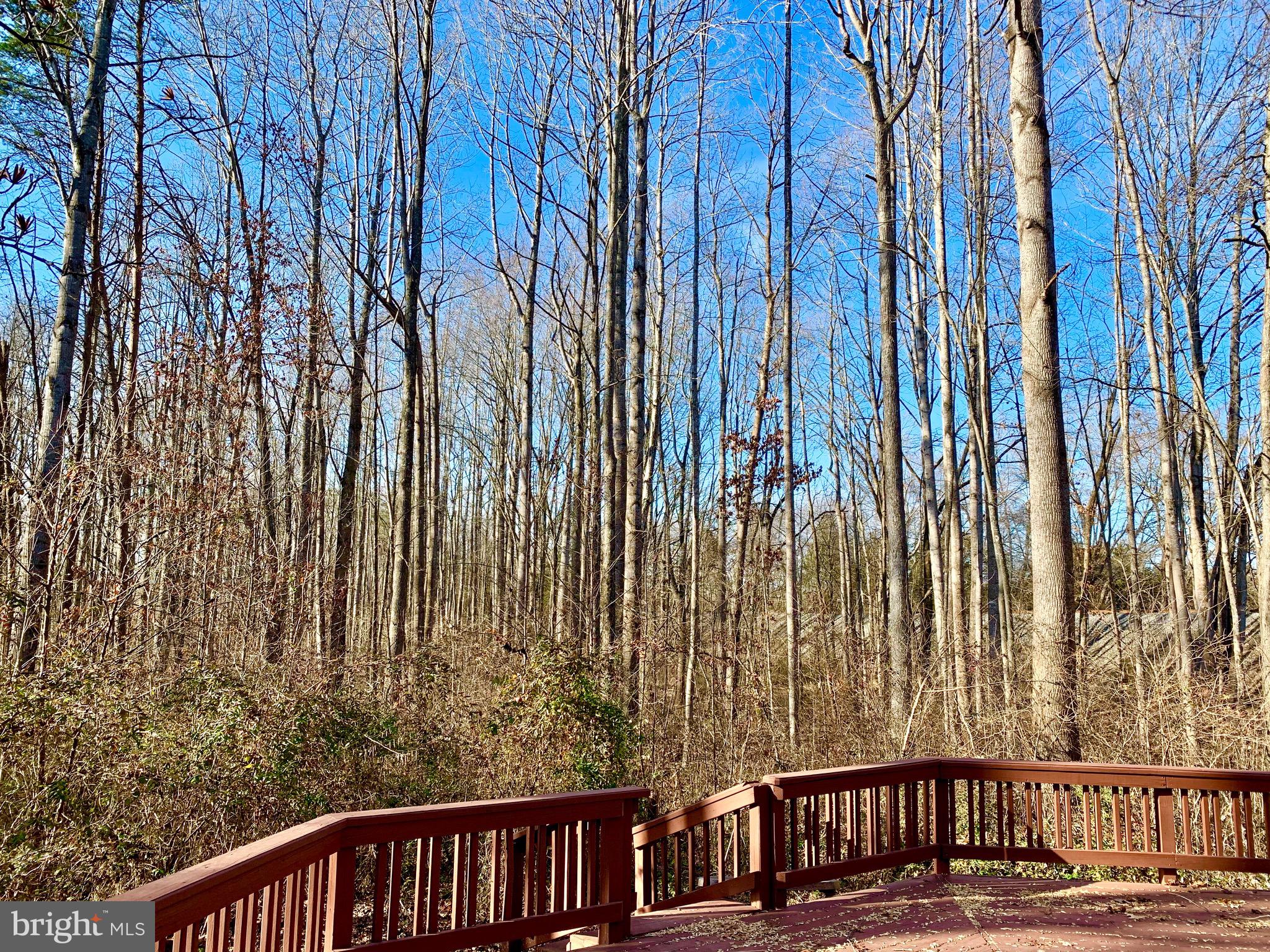 29 Garretts Mill Road Mineral, VA 23117 - Photo 31 of 32