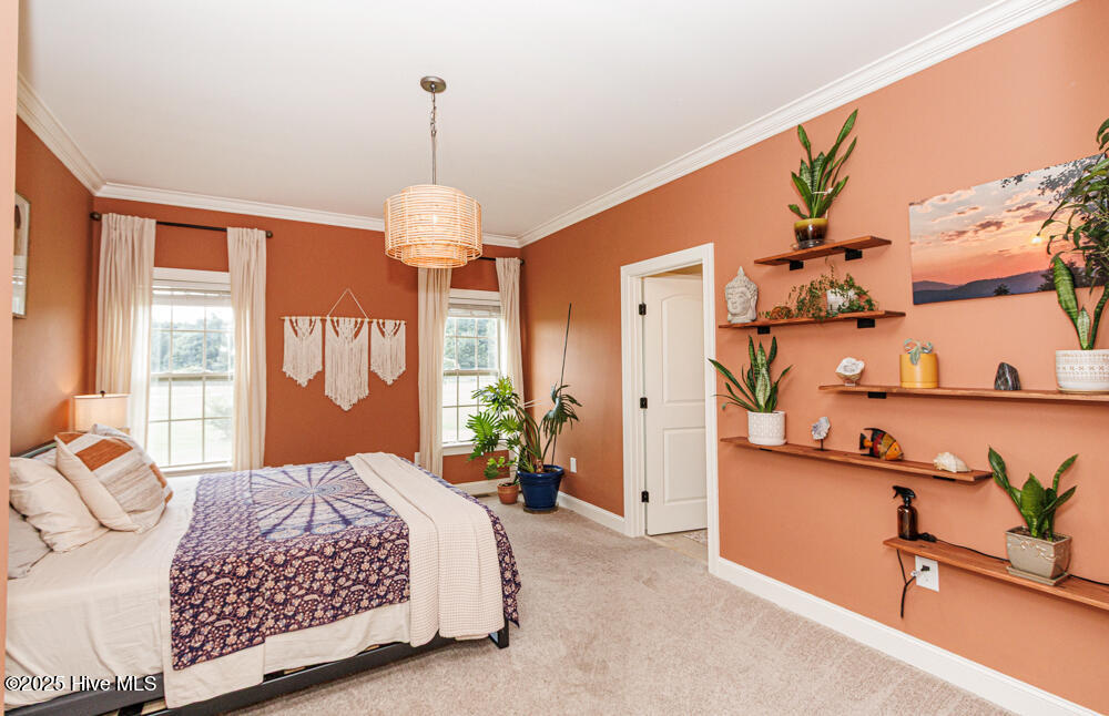 7295 Bitterroot Road Rocky Mount, NC 27803 - Photo 33 of 49 0046-IMG_6654