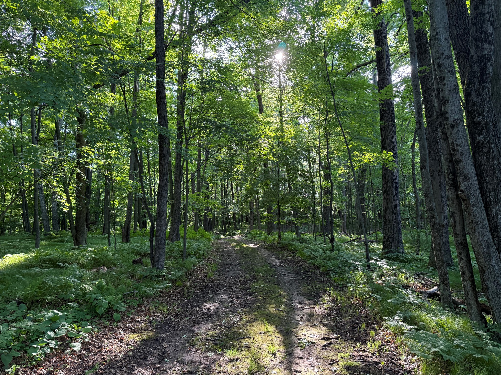 Xxx Sathre Lane Shell Lake, WI 54871 - Photo 25 of 36