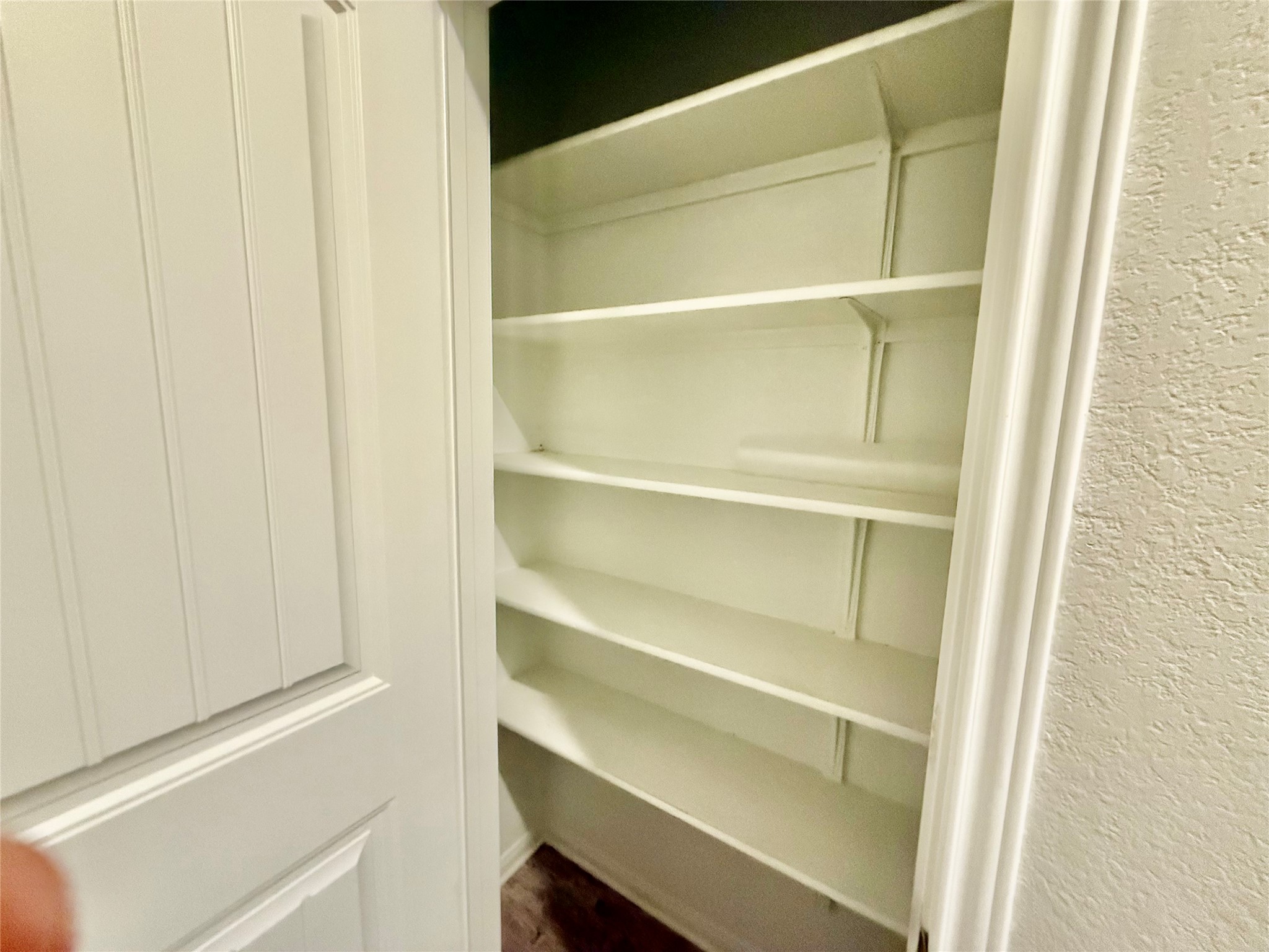 305 Rusk Bluff Avenue Leander, TX 78641 - Photo 31 of 34 large linen / storage closet