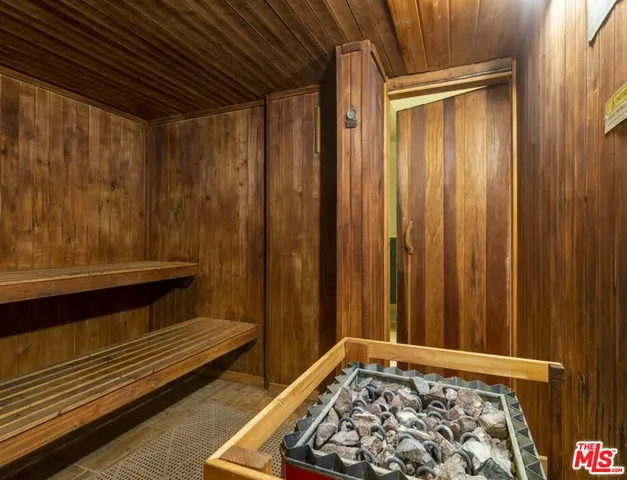 a view of a garden with plants